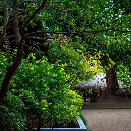 Arugambay Coco Bay Otel Arugam Bay Dış mekan fotoğraf