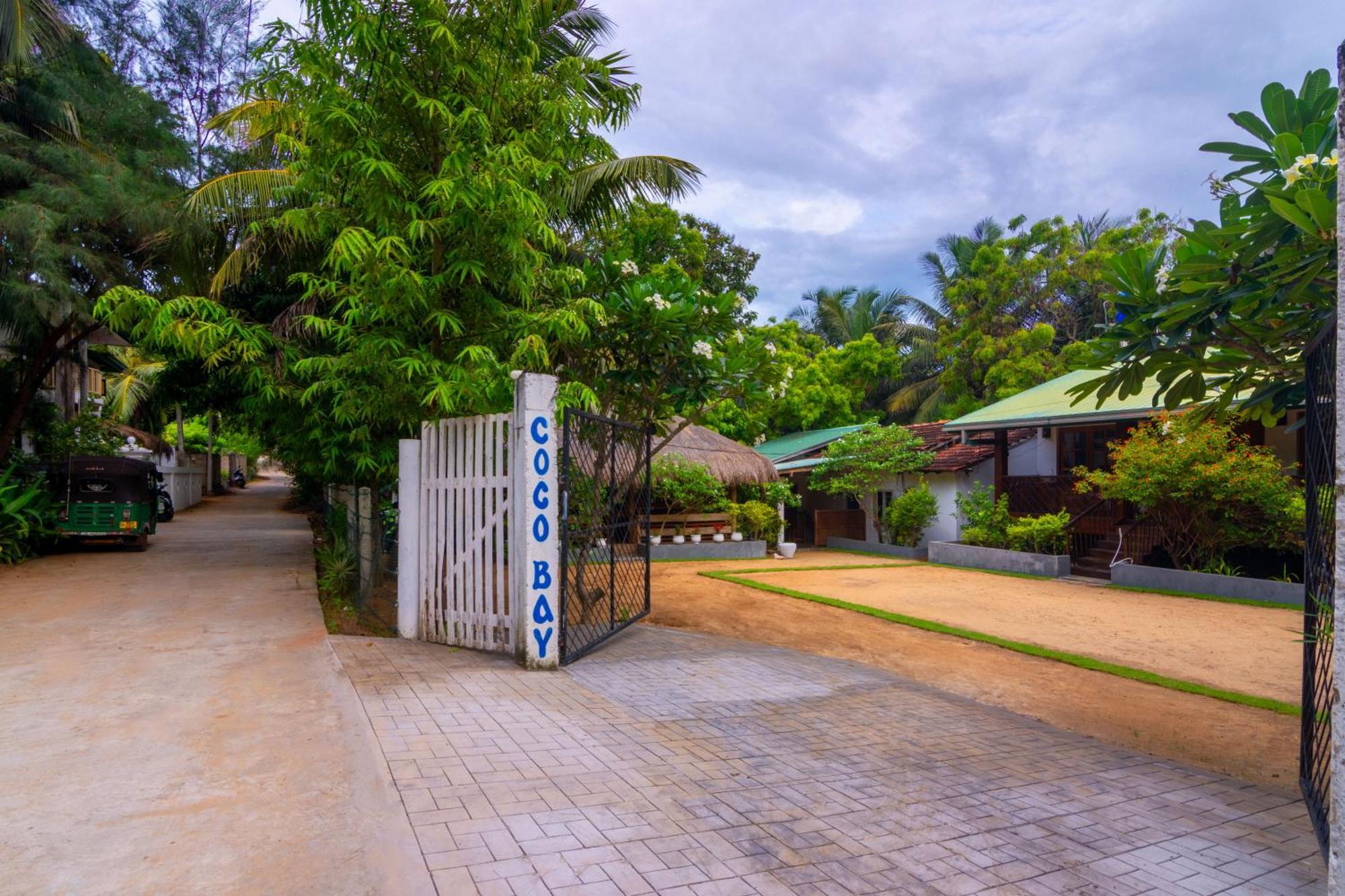 Arugambay Coco Bay Otel Arugam Bay Dış mekan fotoğraf
