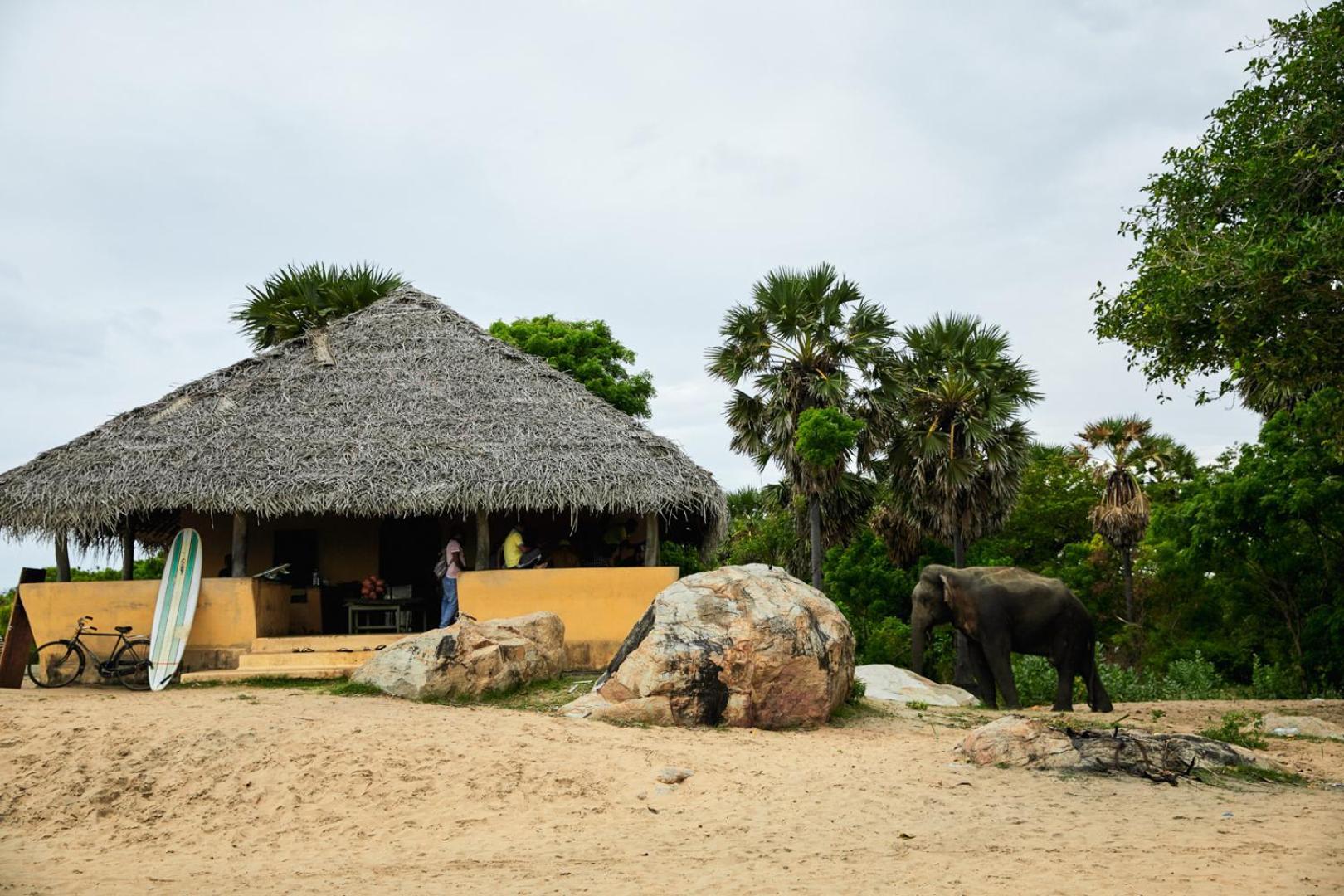 Arugambay Coco Bay Otel Arugam Bay Dış mekan fotoğraf