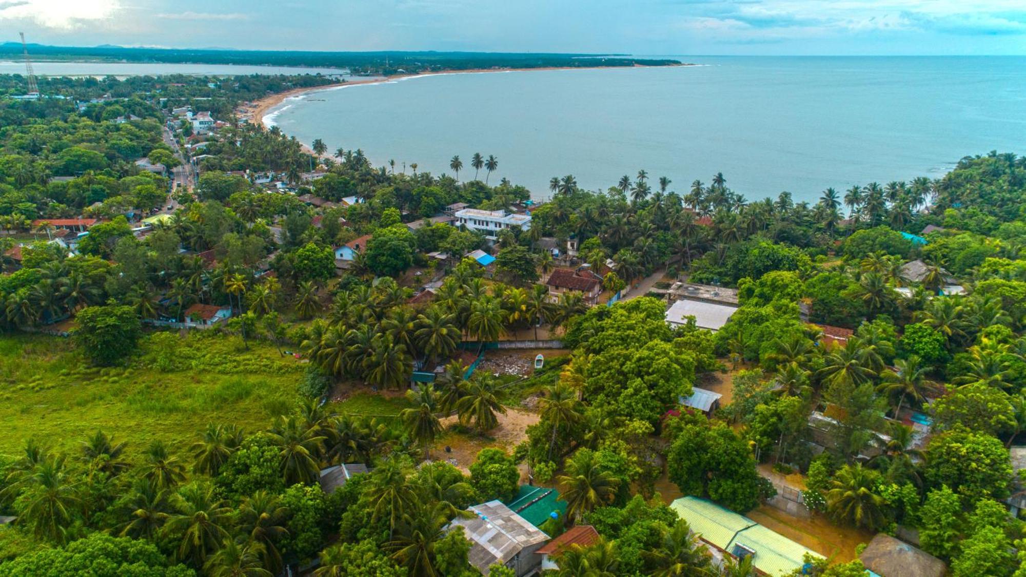 Arugambay Coco Bay Otel Arugam Bay Dış mekan fotoğraf